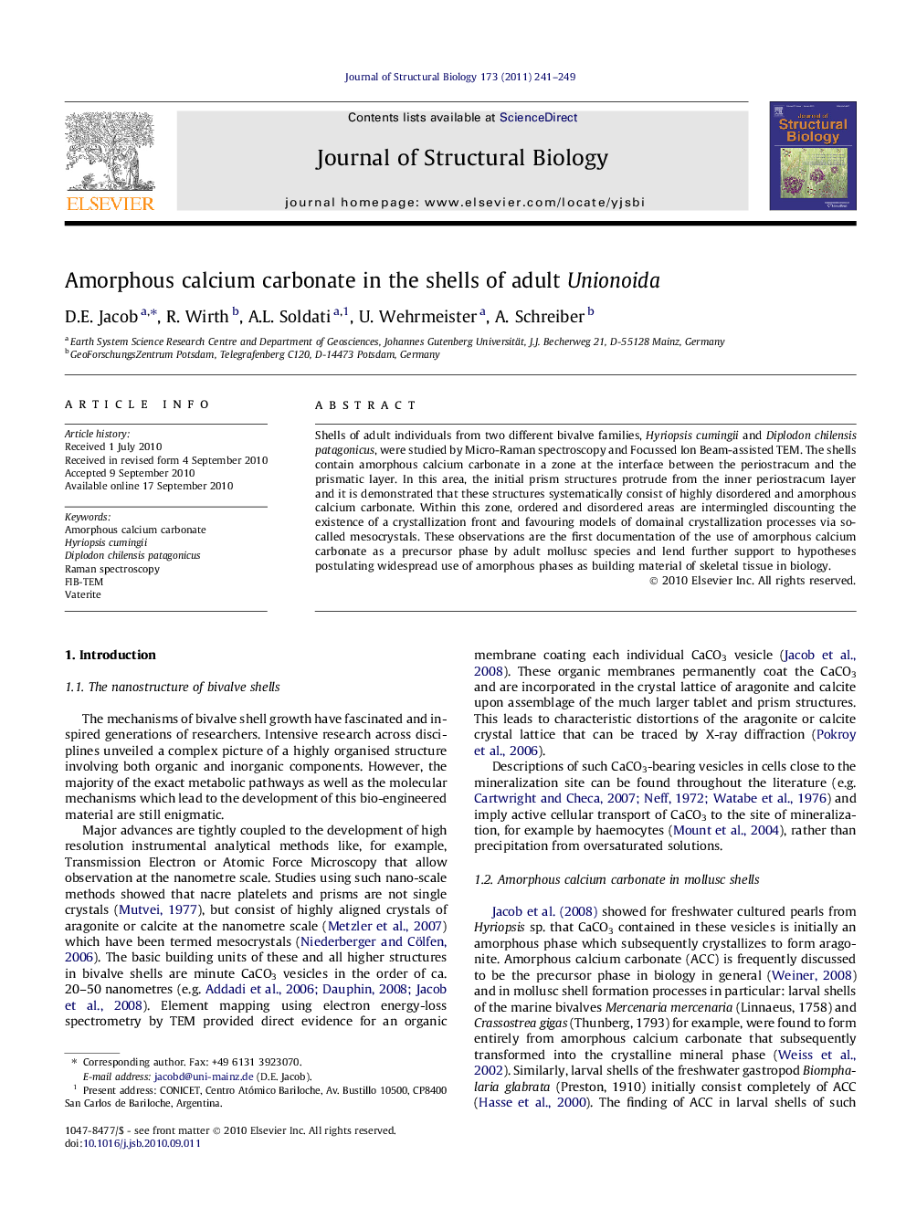 Amorphous calcium carbonate in the shells of adult Unionoida