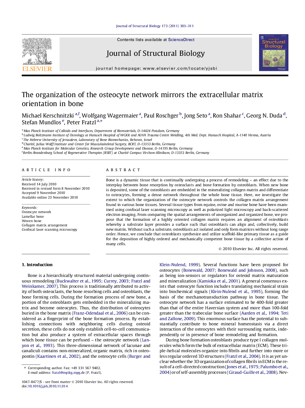 The organization of the osteocyte network mirrors the extracellular matrix orientation in bone