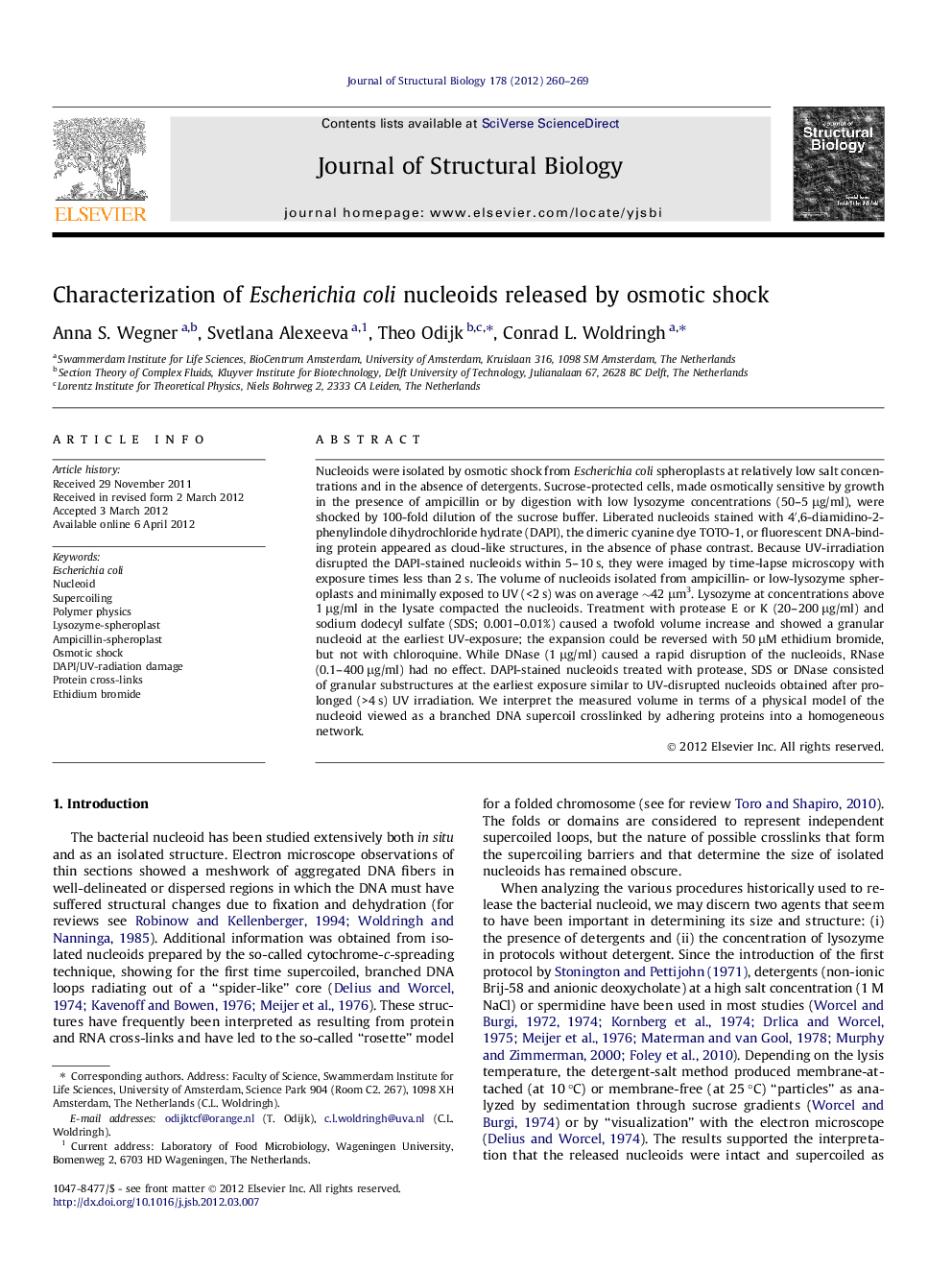 Characterization of Escherichia coli nucleoids released by osmotic shock