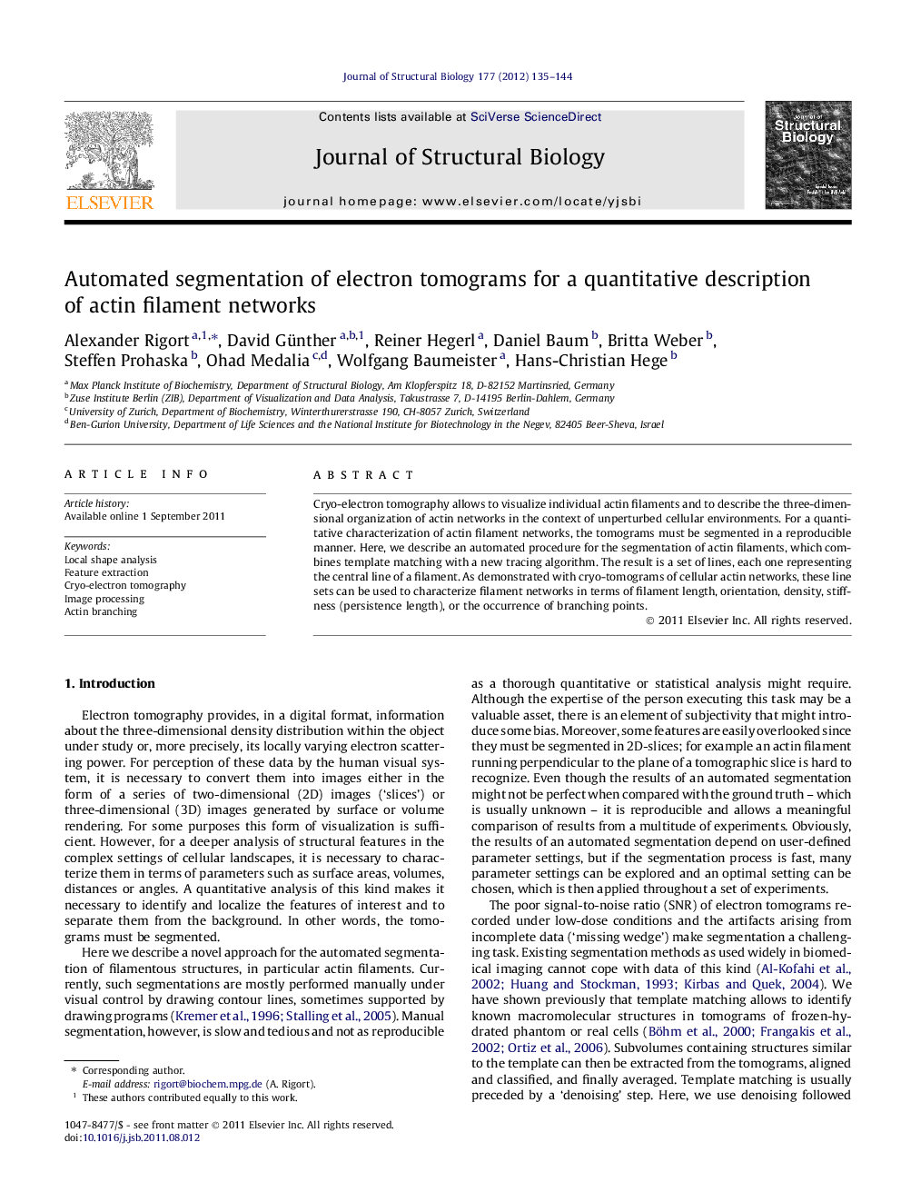 Automated segmentation of electron tomograms for a quantitative description of actin filament networks