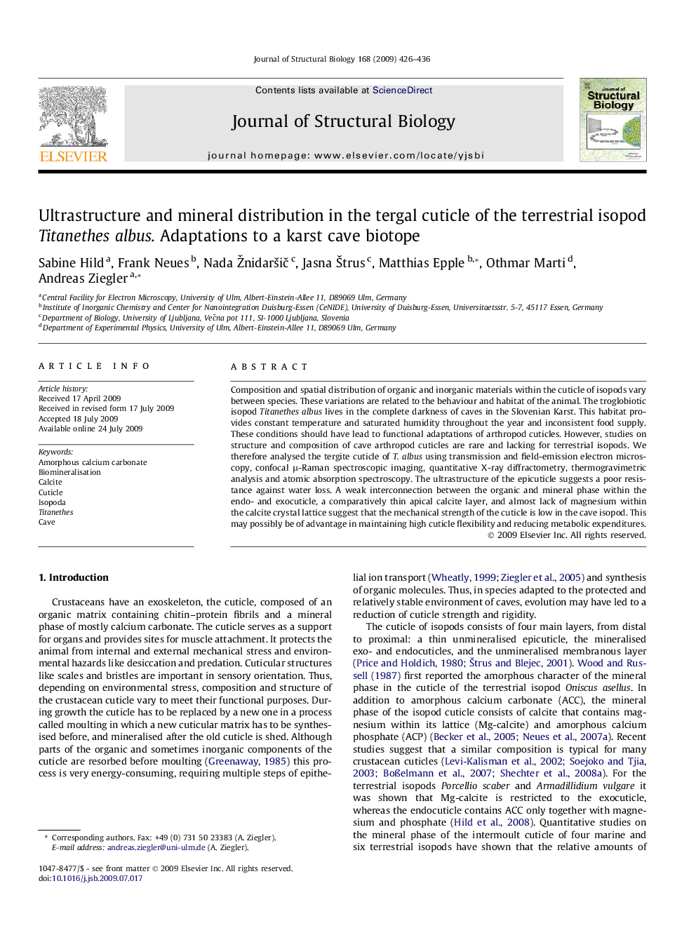 Ultrastructure and mineral distribution in the tergal cuticle of the terrestrial isopod Titanethes albus. Adaptations to a karst cave biotope