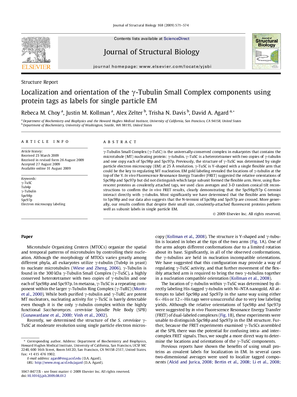 Localization and orientation of the γ-Tubulin Small Complex components using protein tags as labels for single particle EM