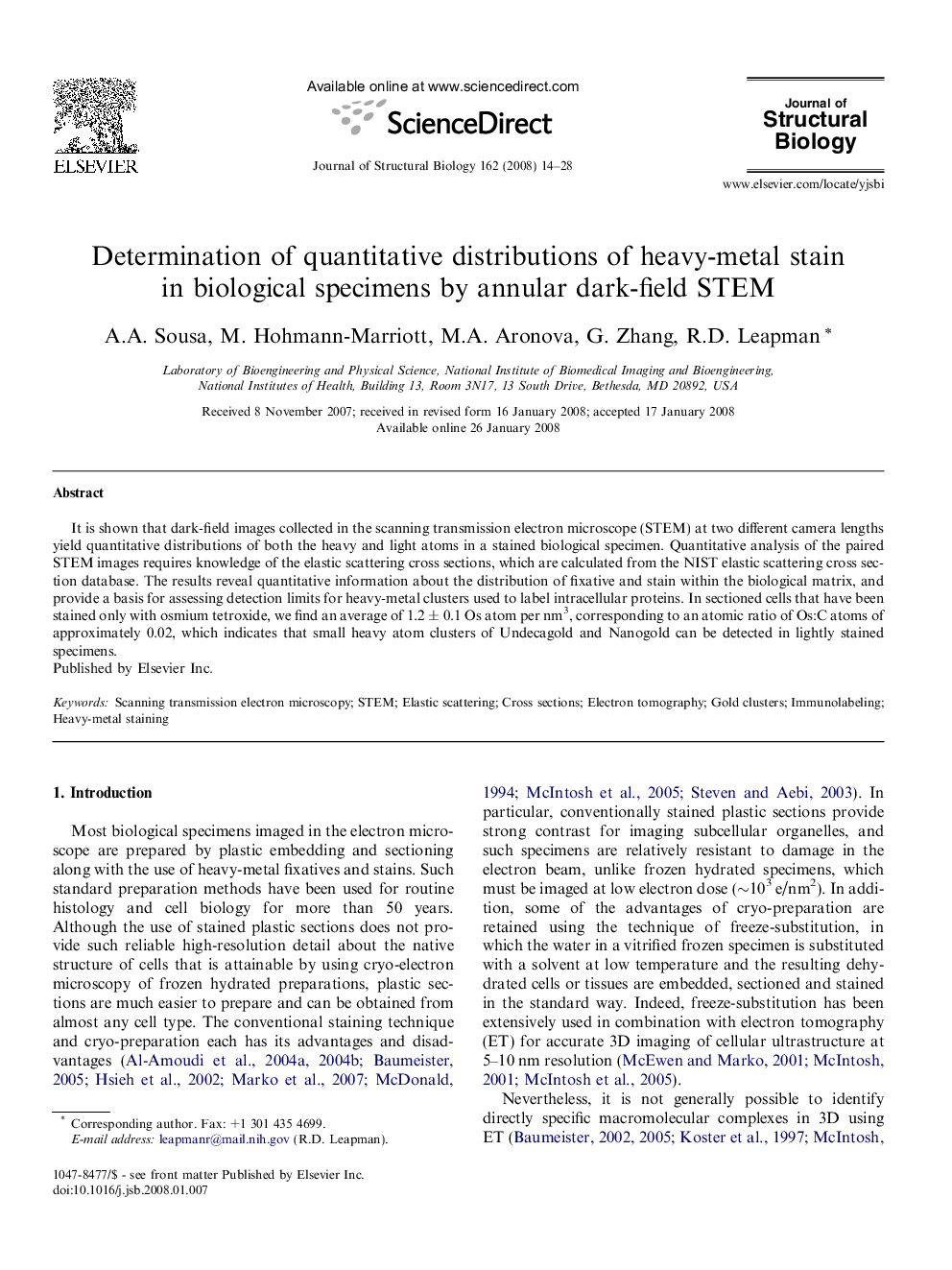 Determination of quantitative distributions of heavy-metal stain in biological specimens by annular dark-field STEM