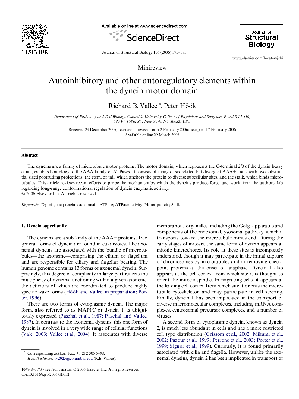 Autoinhibitory and other autoregulatory elements within the dynein motor domain