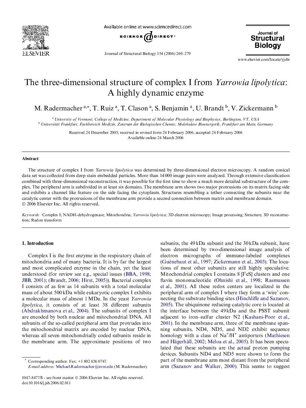 The three-dimensional structure of complex I from Yarrowia lipolytica: A highly dynamic enzyme