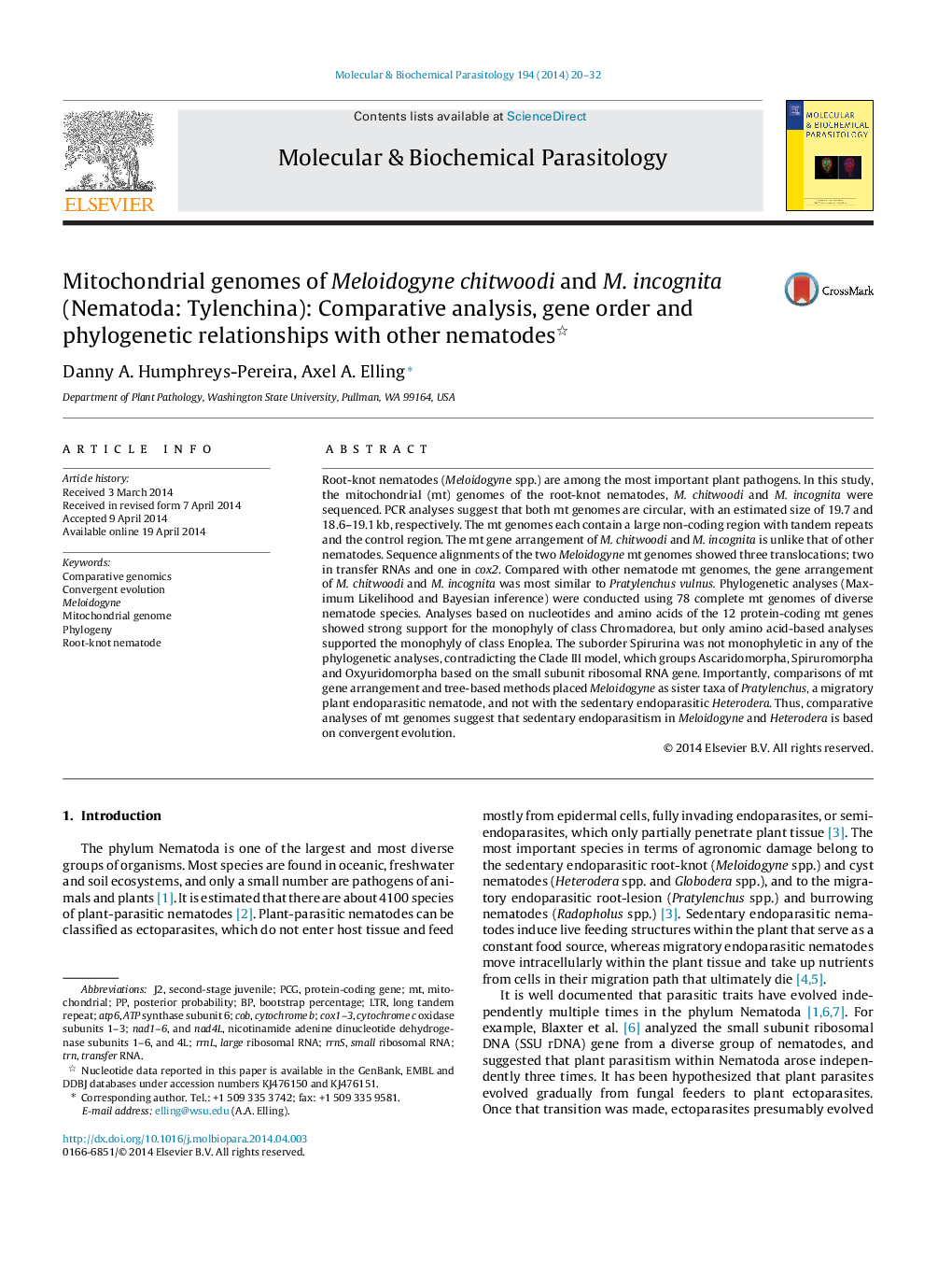 Mitochondrial genomes of Meloidogyne chitwoodi and M. incognita (Nematoda: Tylenchina): Comparative analysis, gene order and phylogenetic relationships with other nematodes 