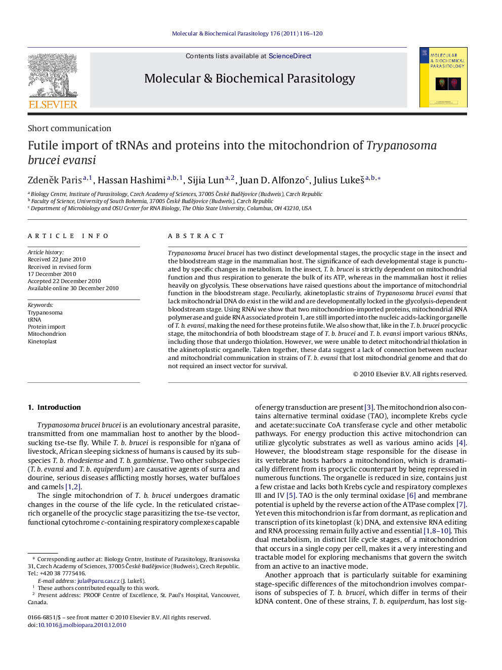 Futile import of tRNAs and proteins into the mitochondrion of Trypanosoma brucei evansi