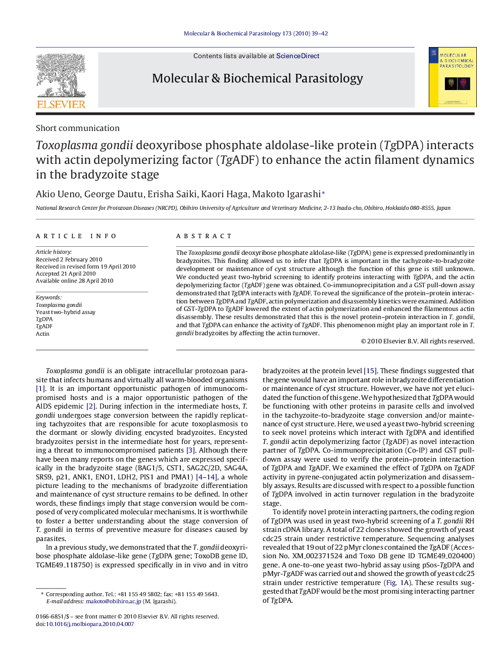 Toxoplasma gondii deoxyribose phosphate aldolase-like protein (TgDPA) interacts with actin depolymerizing factor (TgADF) to enhance the actin filament dynamics in the bradyzoite stage