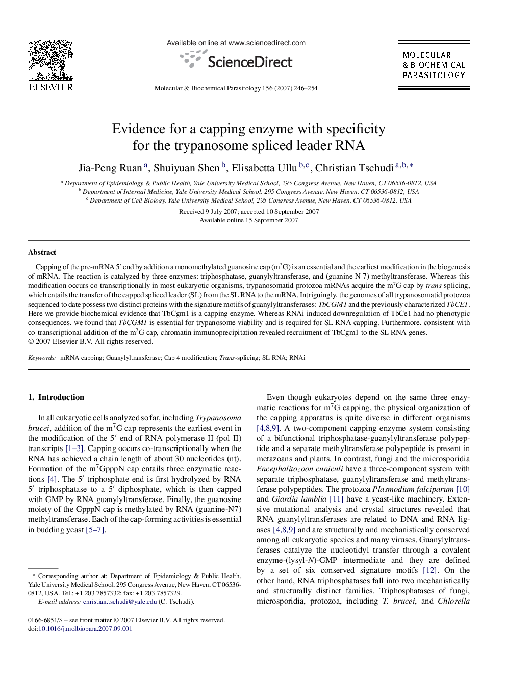 Evidence for a capping enzyme with specificity for the trypanosome spliced leader RNA