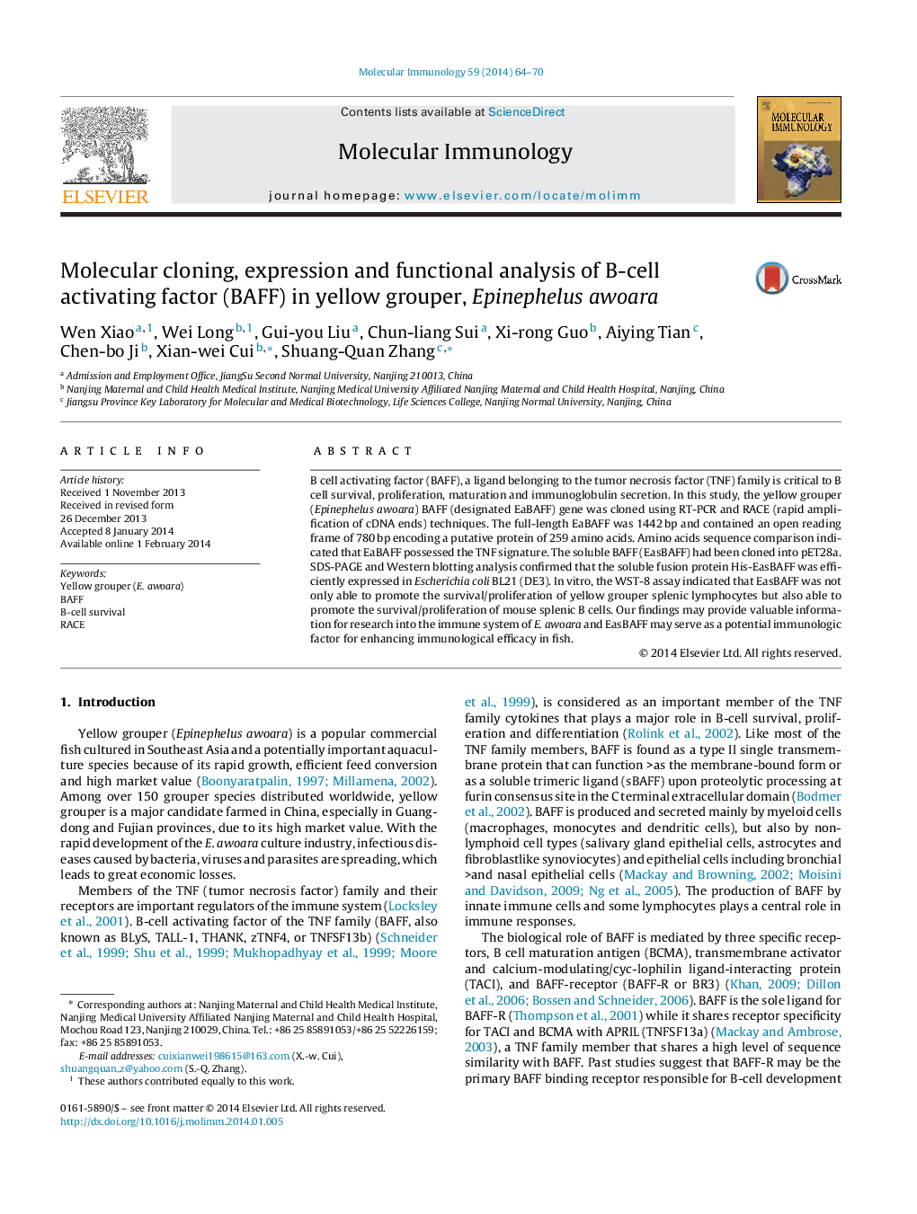 Molecular cloning, expression and functional analysis of B-cell activating factor (BAFF) in yellow grouper, Epinephelus awoara