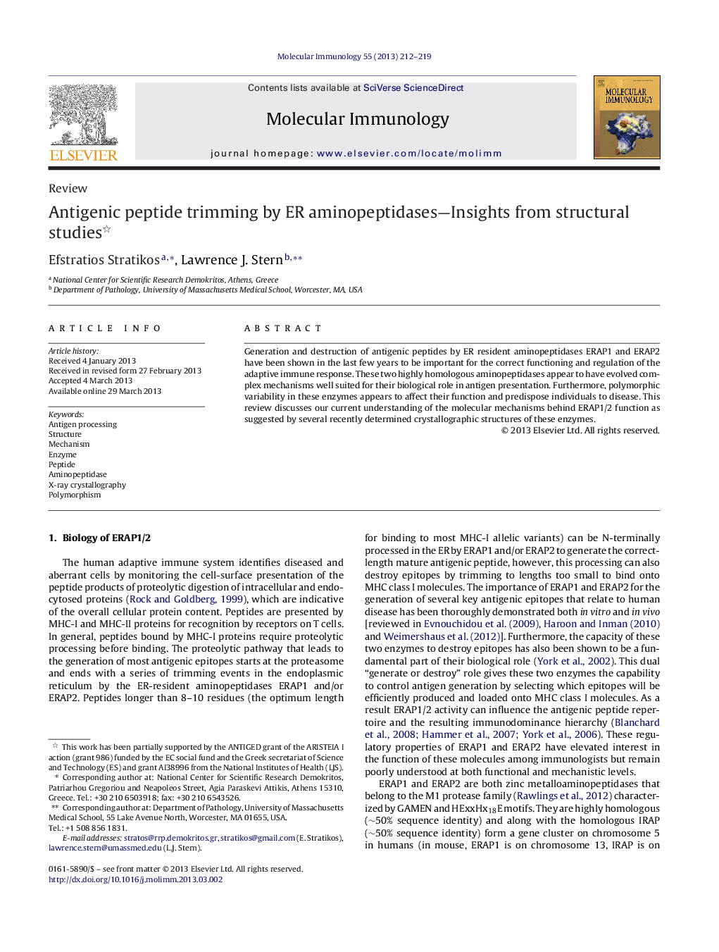 Antigenic peptide trimming by ER aminopeptidases—Insights from structural studies 