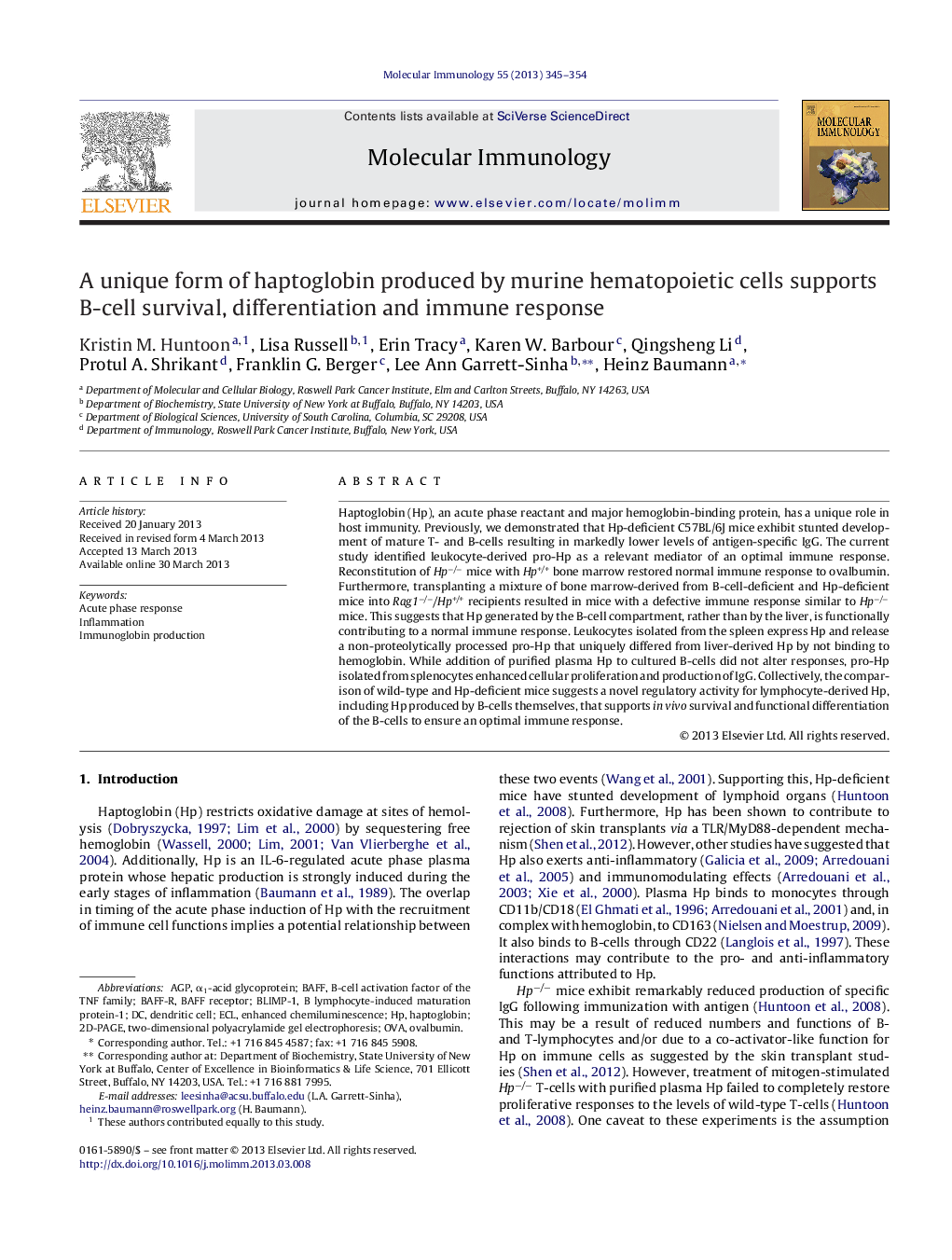 A unique form of haptoglobin produced by murine hematopoietic cells supports B-cell survival, differentiation and immune response