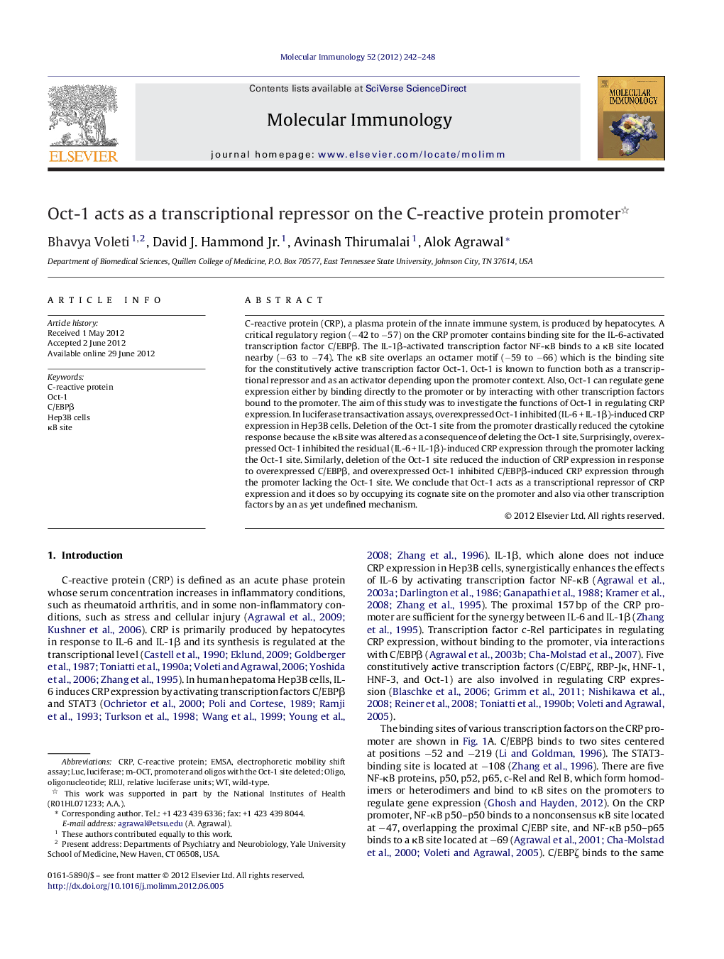 Oct-1 acts as a transcriptional repressor on the C-reactive protein promoter 