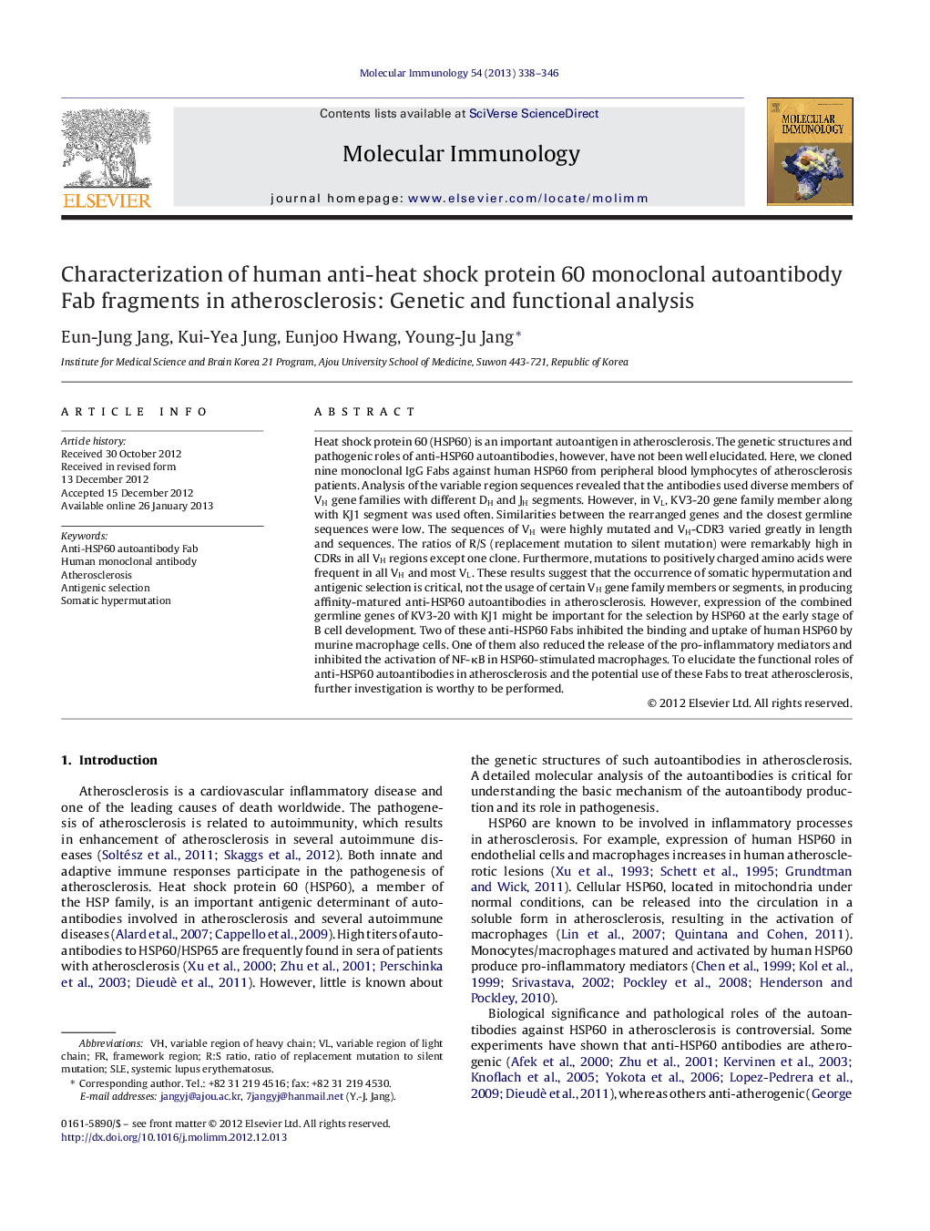 Characterization of human anti-heat shock protein 60 monoclonal autoantibody Fab fragments in atherosclerosis: Genetic and functional analysis