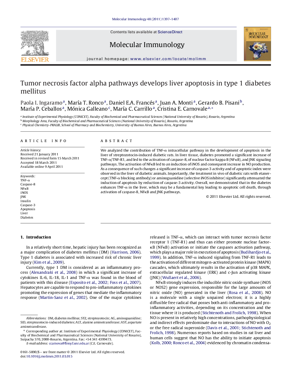 Tumor necrosis factor alpha pathways develops liver apoptosis in type 1 diabetes mellitus