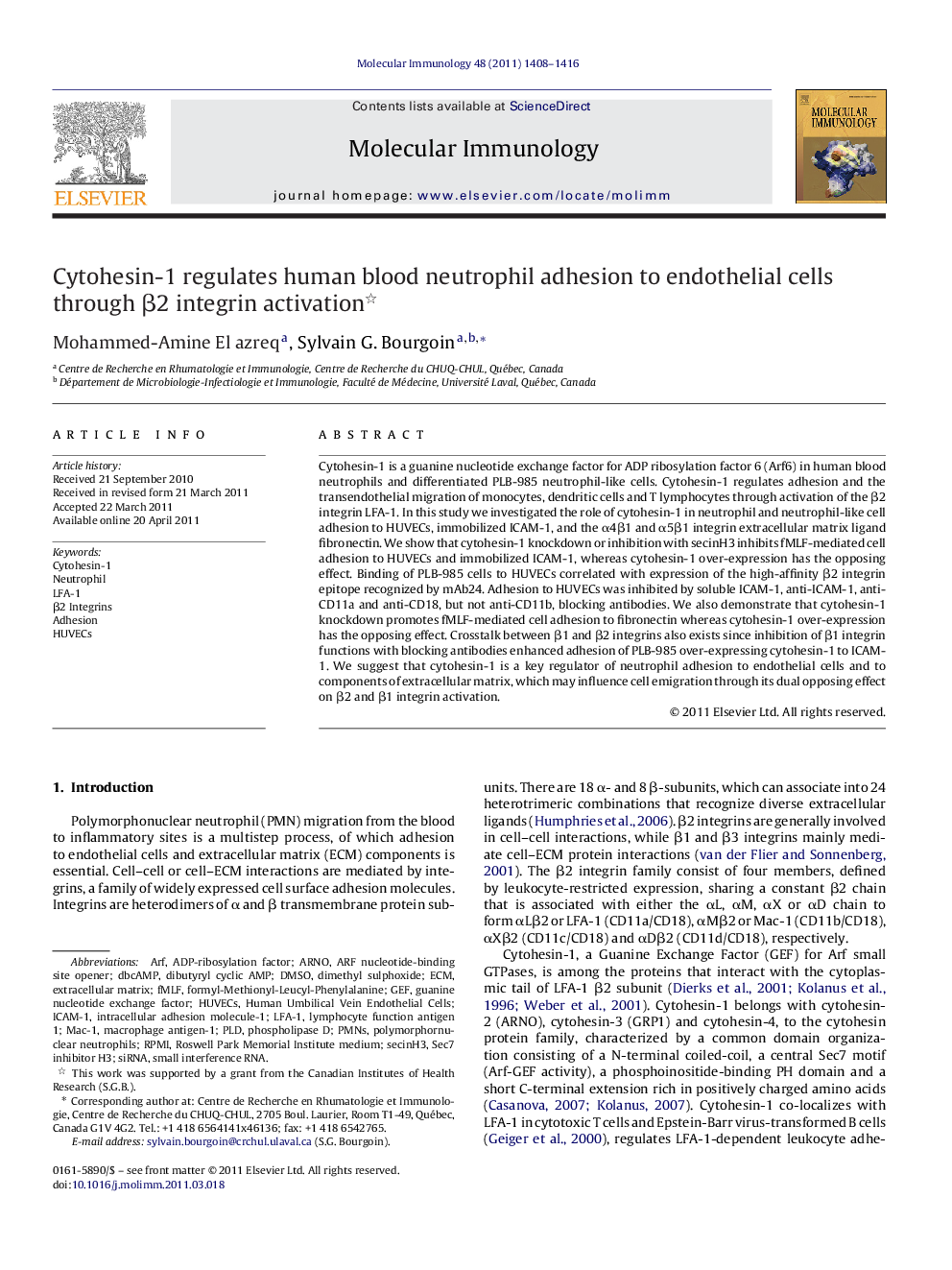 Cytohesin-1 regulates human blood neutrophil adhesion to endothelial cells through β2 integrin activation 