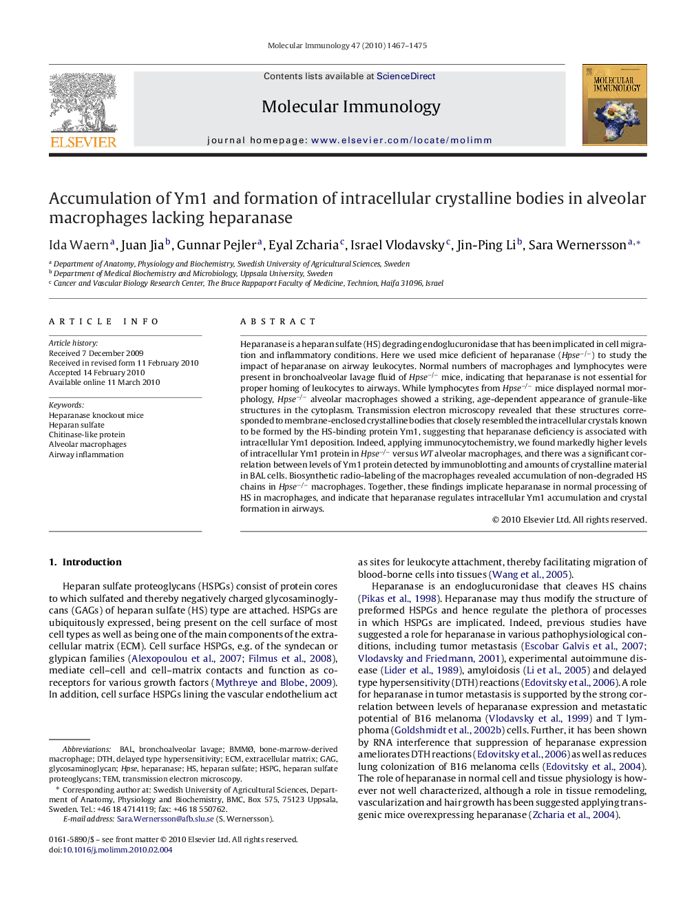 Accumulation of Ym1 and formation of intracellular crystalline bodies in alveolar macrophages lacking heparanase