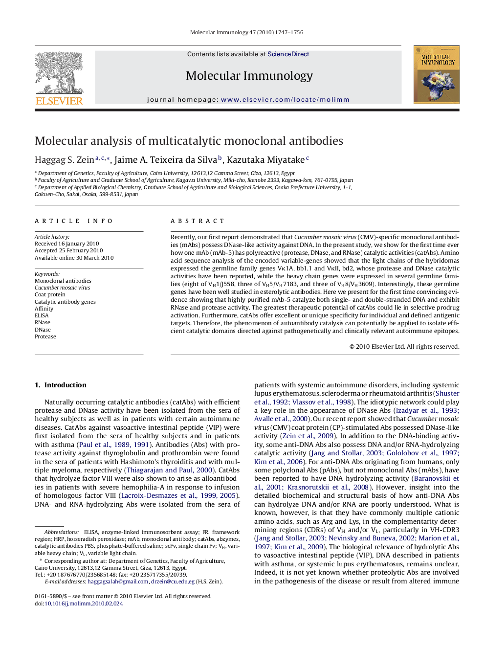 Molecular analysis of multicatalytic monoclonal antibodies