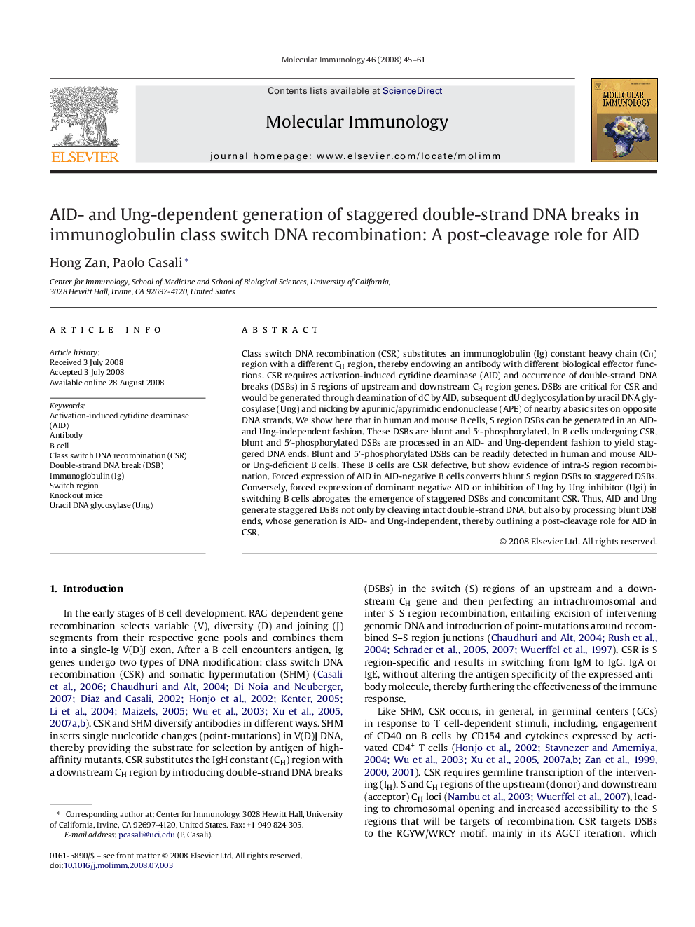 AID- and Ung-dependent generation of staggered double-strand DNA breaks in immunoglobulin class switch DNA recombination: A post-cleavage role for AID