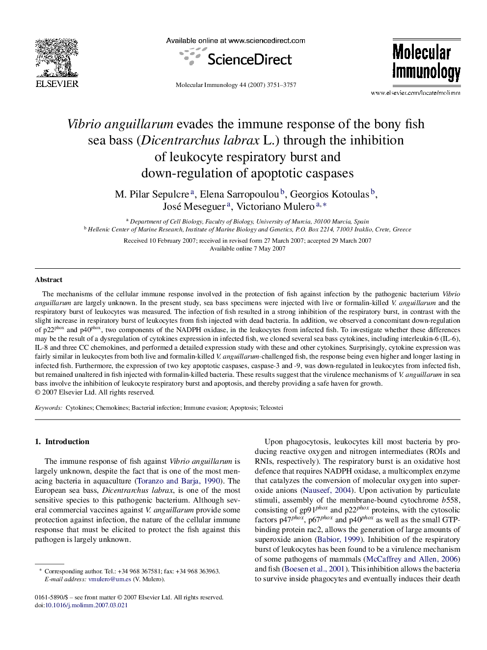 Vibrio anguillarum evades the immune response of the bony fish sea bass (Dicentrarchus labrax L.) through the inhibition of leukocyte respiratory burst and down-regulation of apoptotic caspases