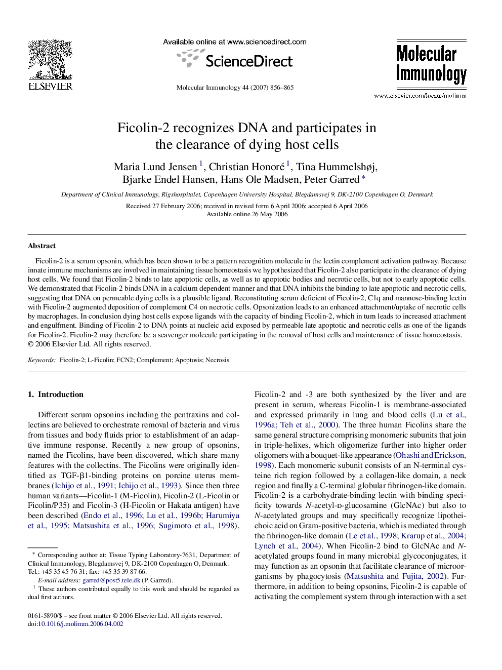 Ficolin-2 recognizes DNA and participates in the clearance of dying host cells