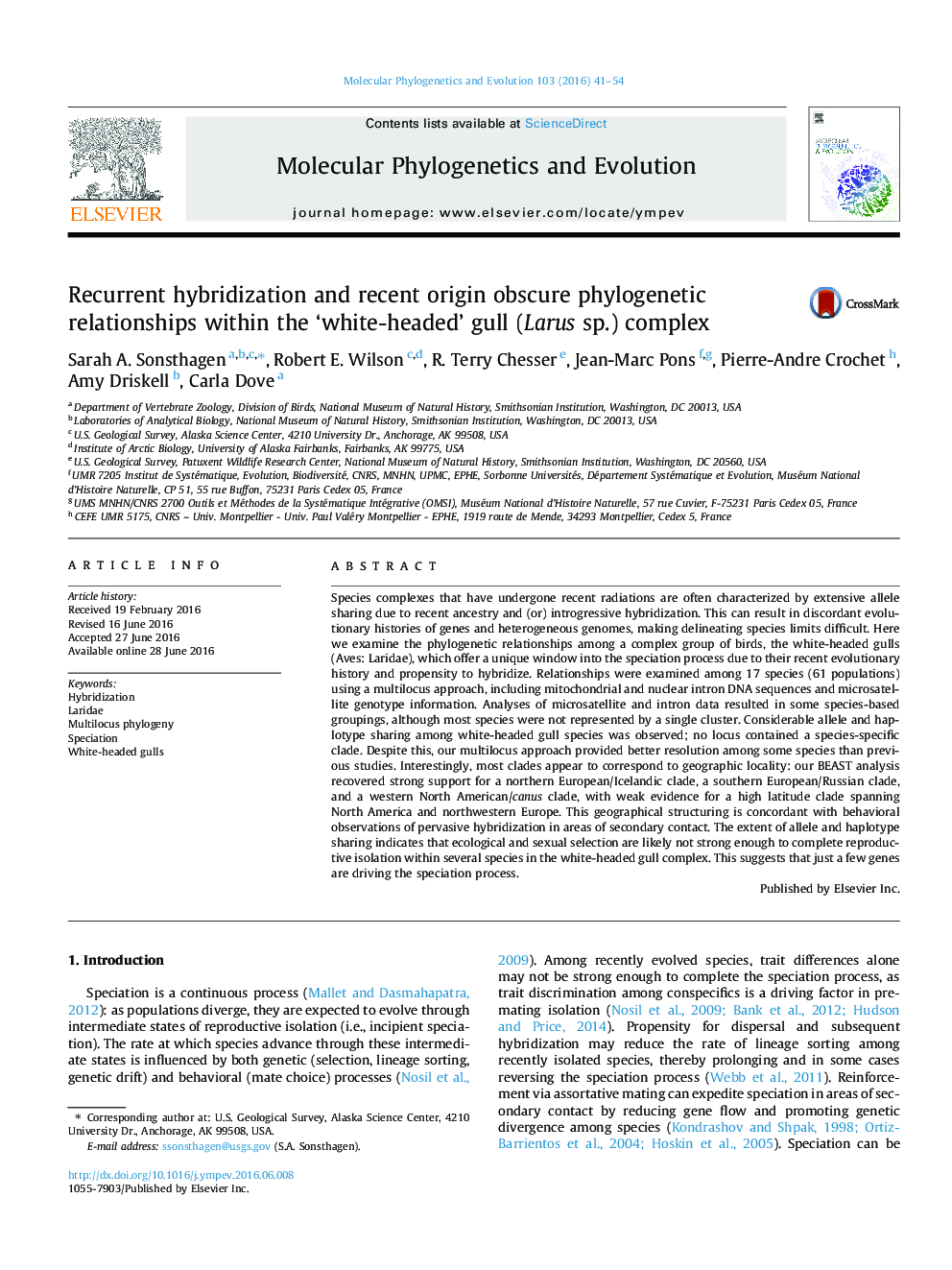 Recurrent hybridization and recent origin obscure phylogenetic relationships within the ‘white-headed’ gull (Larus sp.) complex