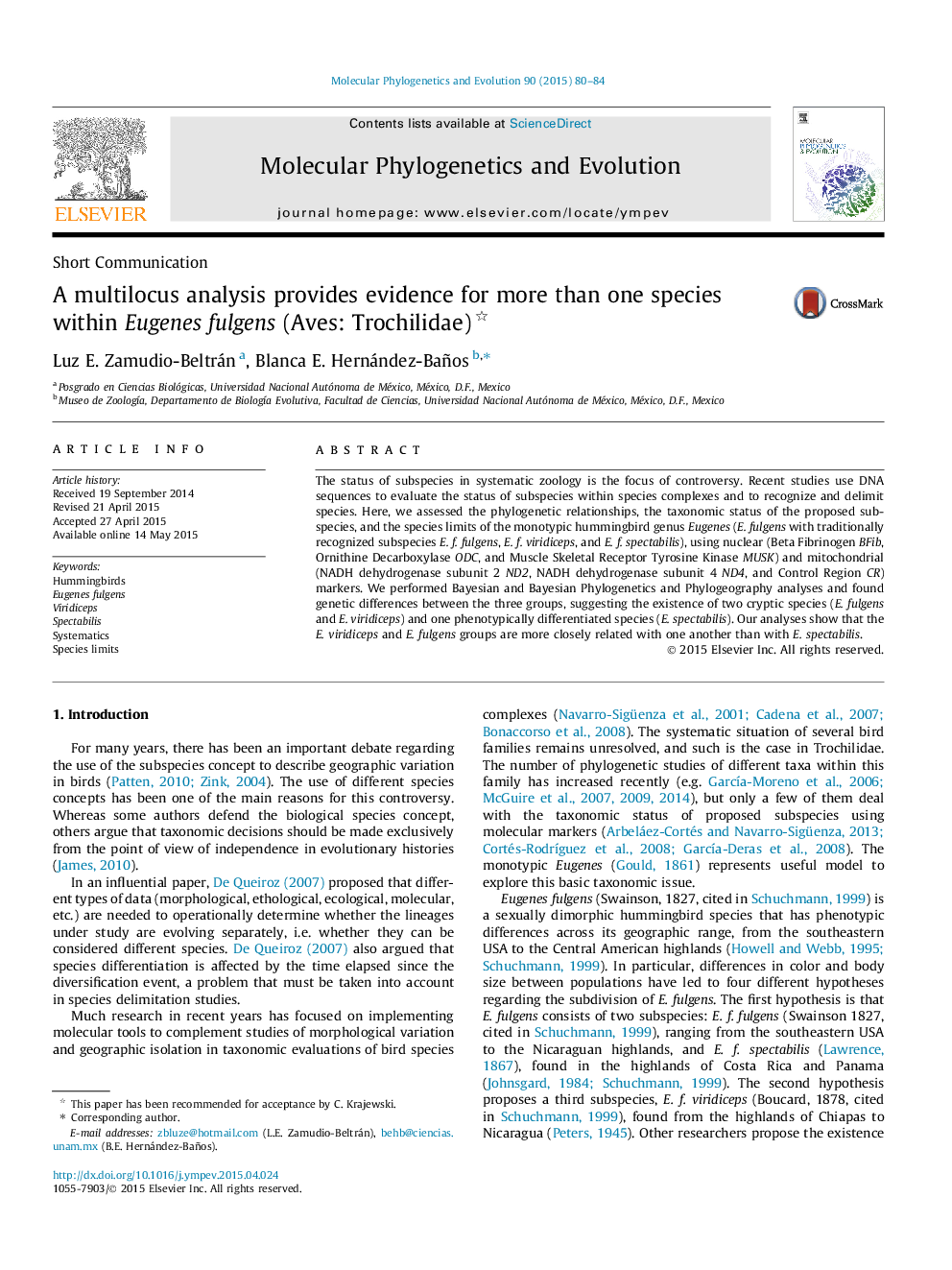 A multilocus analysis provides evidence for more than one species within Eugenes fulgens (Aves: Trochilidae) 