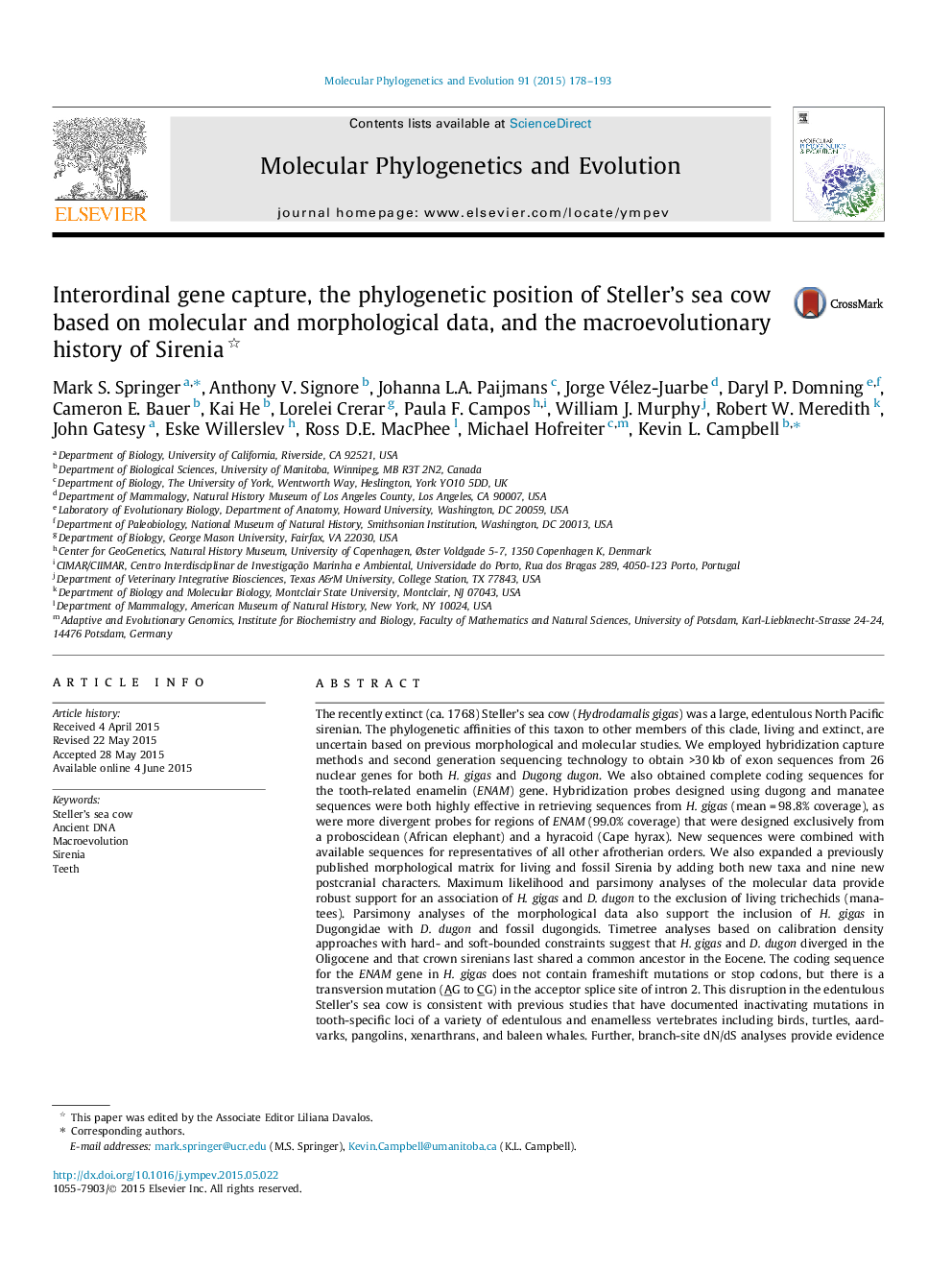 Interordinal gene capture, the phylogenetic position of Steller’s sea cow based on molecular and morphological data, and the macroevolutionary history of Sirenia 