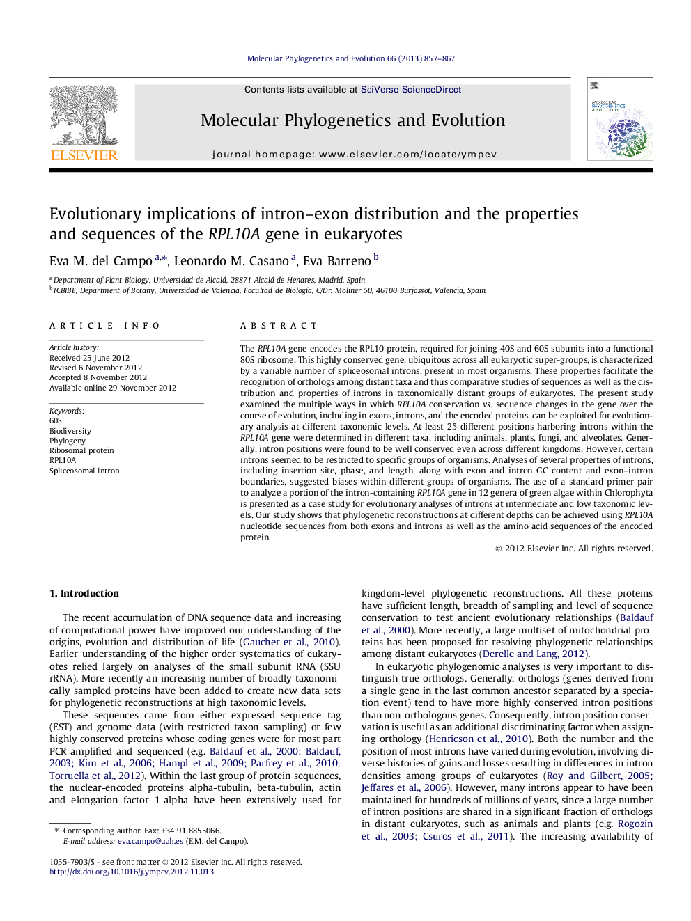 Evolutionary implications of intron–exon distribution and the properties and sequences of the RPL10A gene in eukaryotes