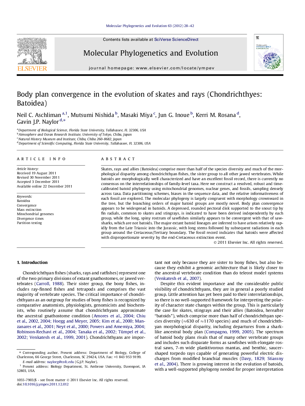 Body plan convergence in the evolution of skates and rays (Chondrichthyes: Batoidea)