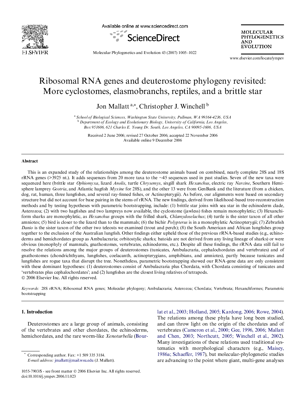 Ribosomal RNA genes and deuterostome phylogeny revisited: More cyclostomes, elasmobranchs, reptiles, and a brittle star