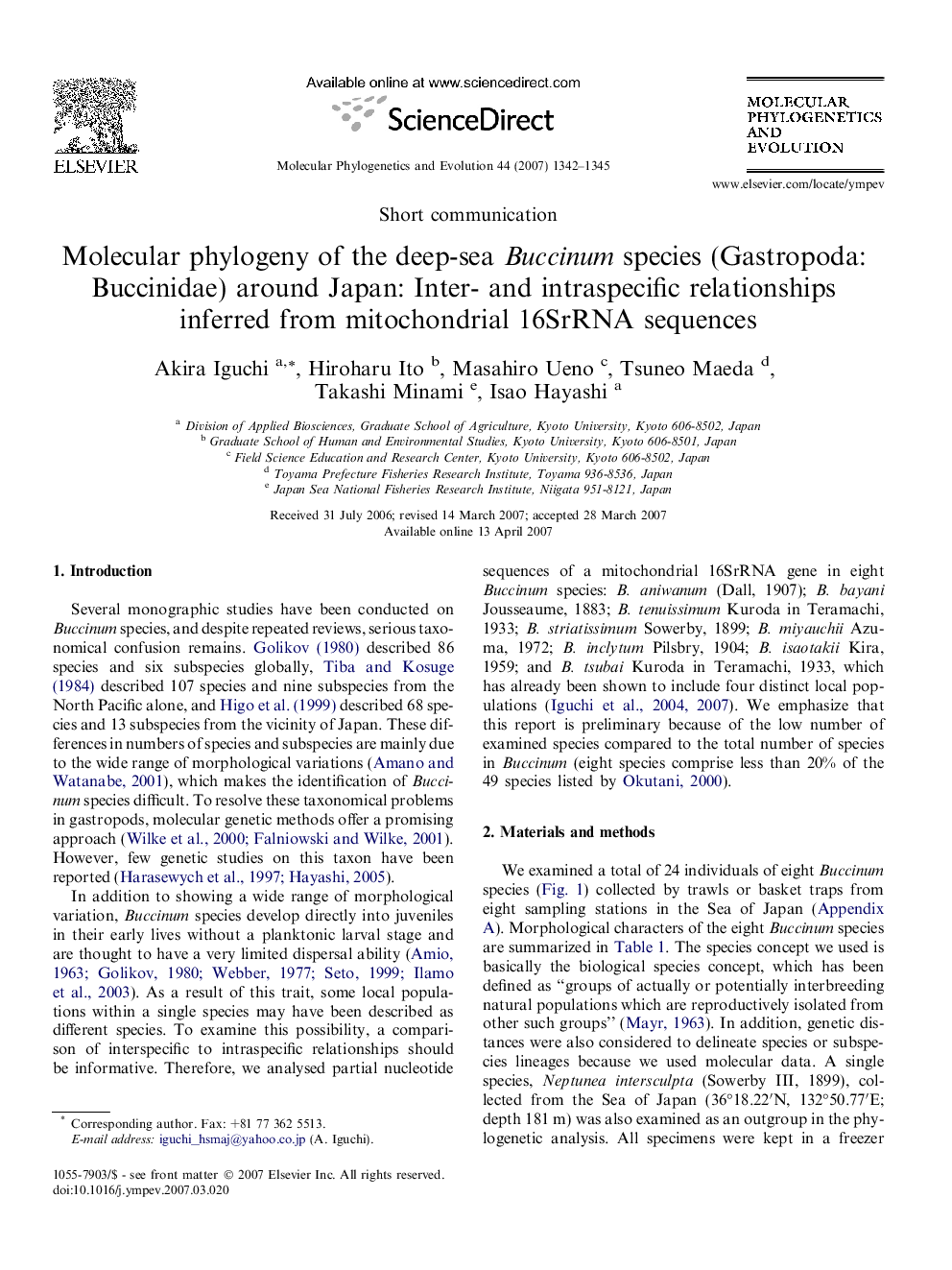 Molecular phylogeny of the deep-sea Buccinum species (Gastropoda: Buccinidae) around Japan: Inter- and intraspecific relationships inferred from mitochondrial 16SrRNA sequences