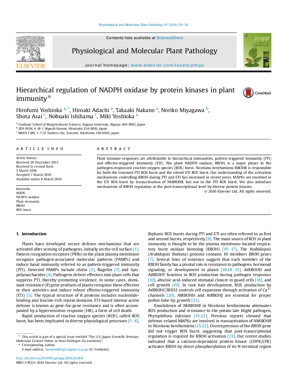 Hierarchical regulation of NADPH oxidase by protein kinases in plant immunity 