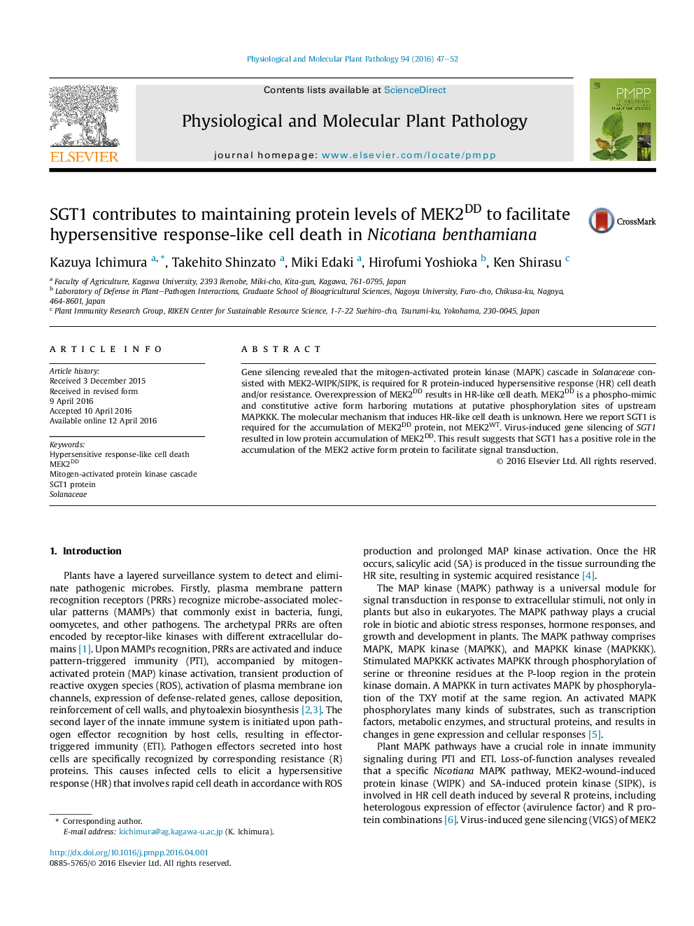 SGT1 contributes to maintaining protein levels of MEK2DD to facilitate hypersensitive response-like cell death in Nicotiana benthamiana