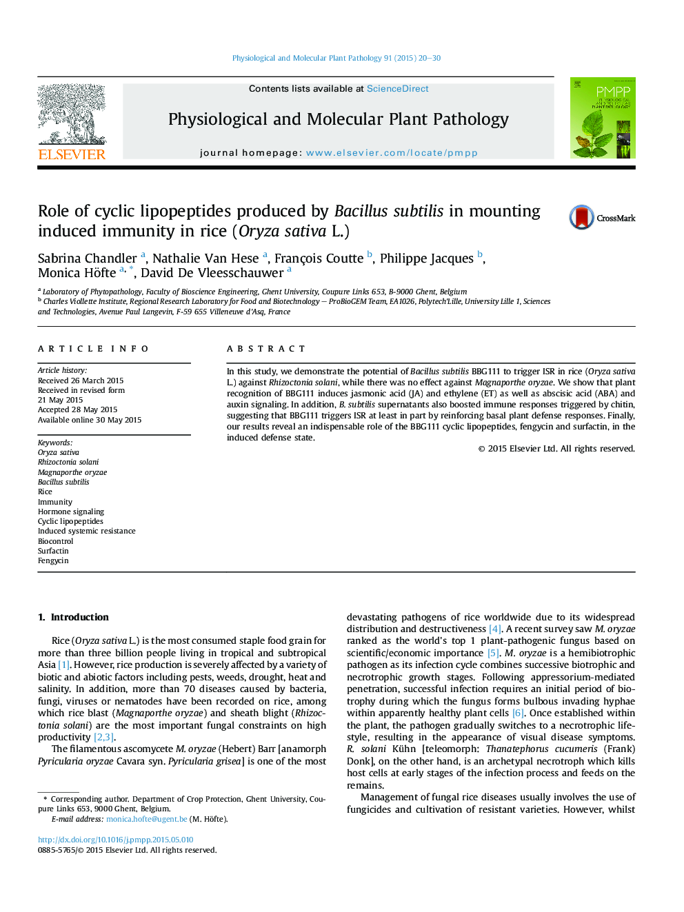 Role of cyclic lipopeptides produced by Bacillus subtilis in mounting induced immunity in rice (Oryza sativa L.)