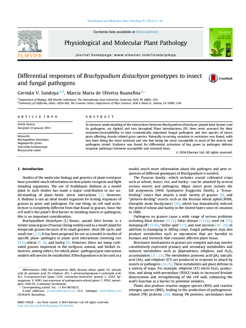 Differential responses of Brachypodium distachyon genotypes to insect and fungal pathogens