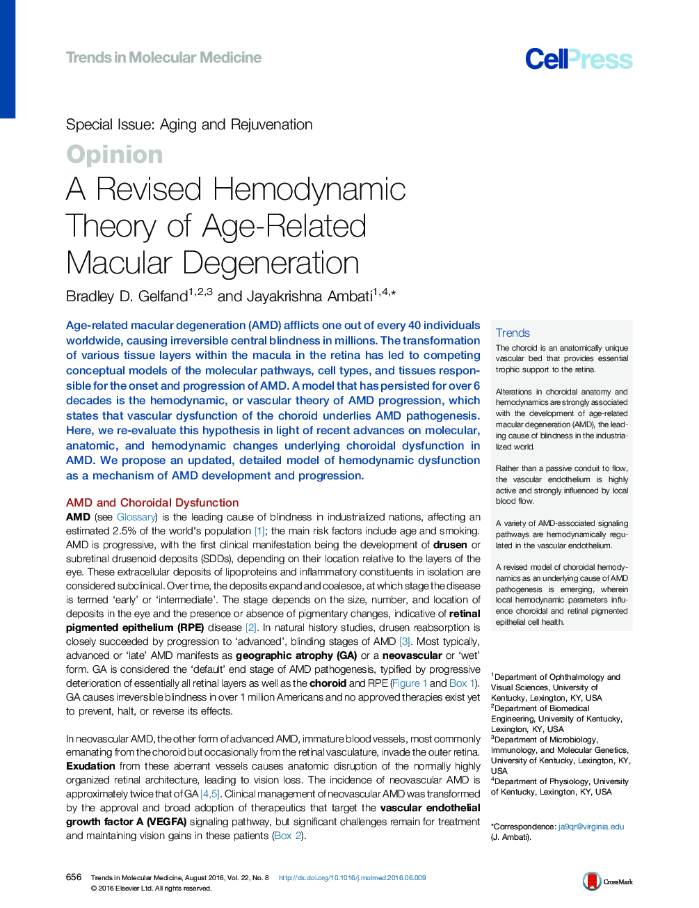 A Revised Hemodynamic Theory of Age-Related Macular Degeneration