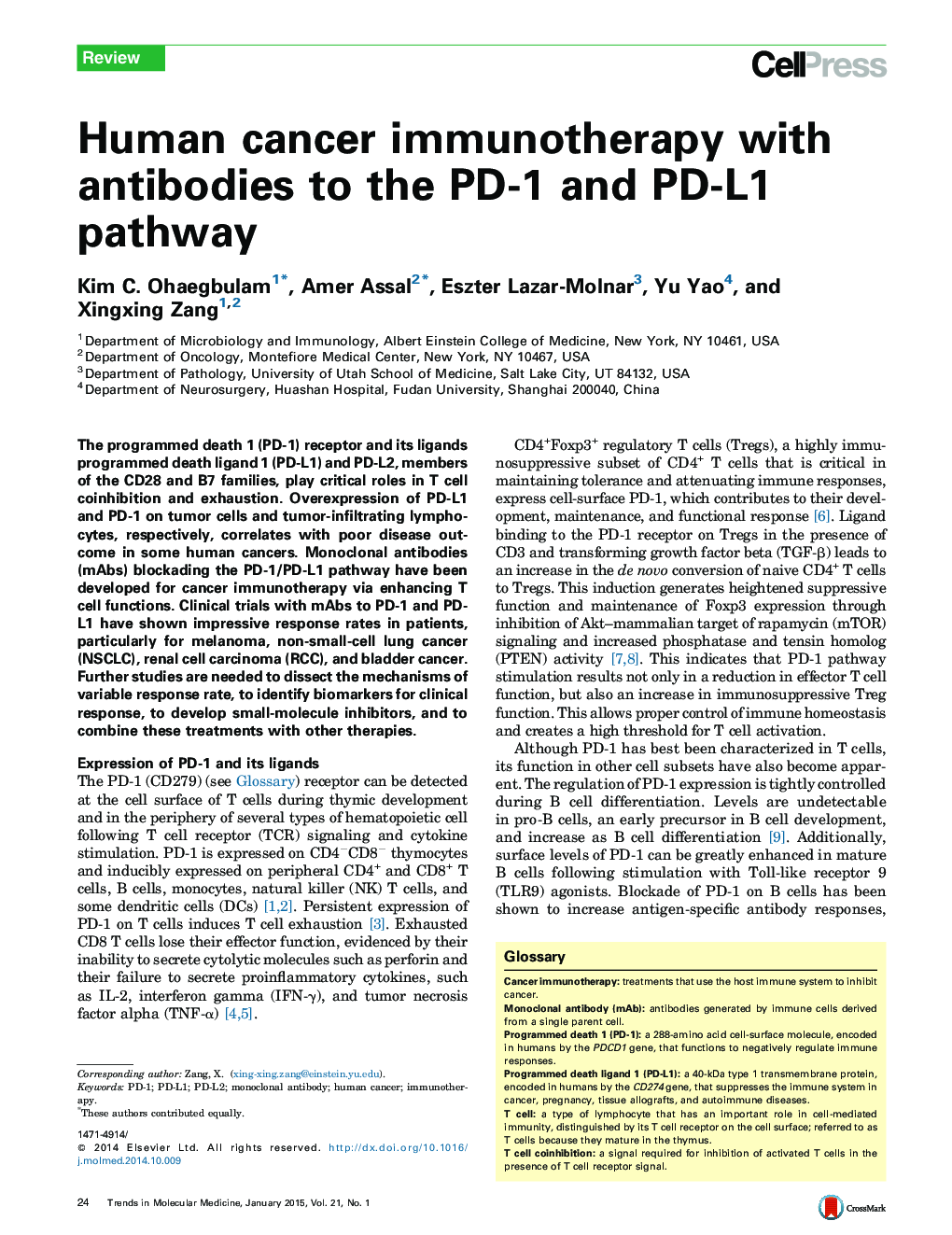 Human cancer immunotherapy with antibodies to the PD-1 and PD-L1 pathway