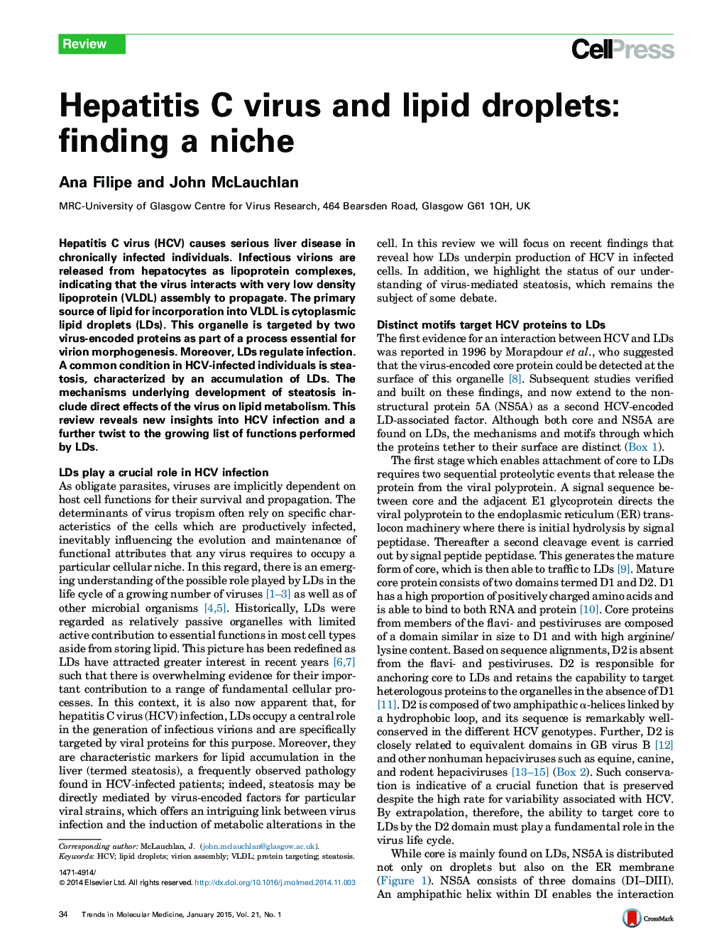 Hepatitis C virus and lipid droplets: finding a niche