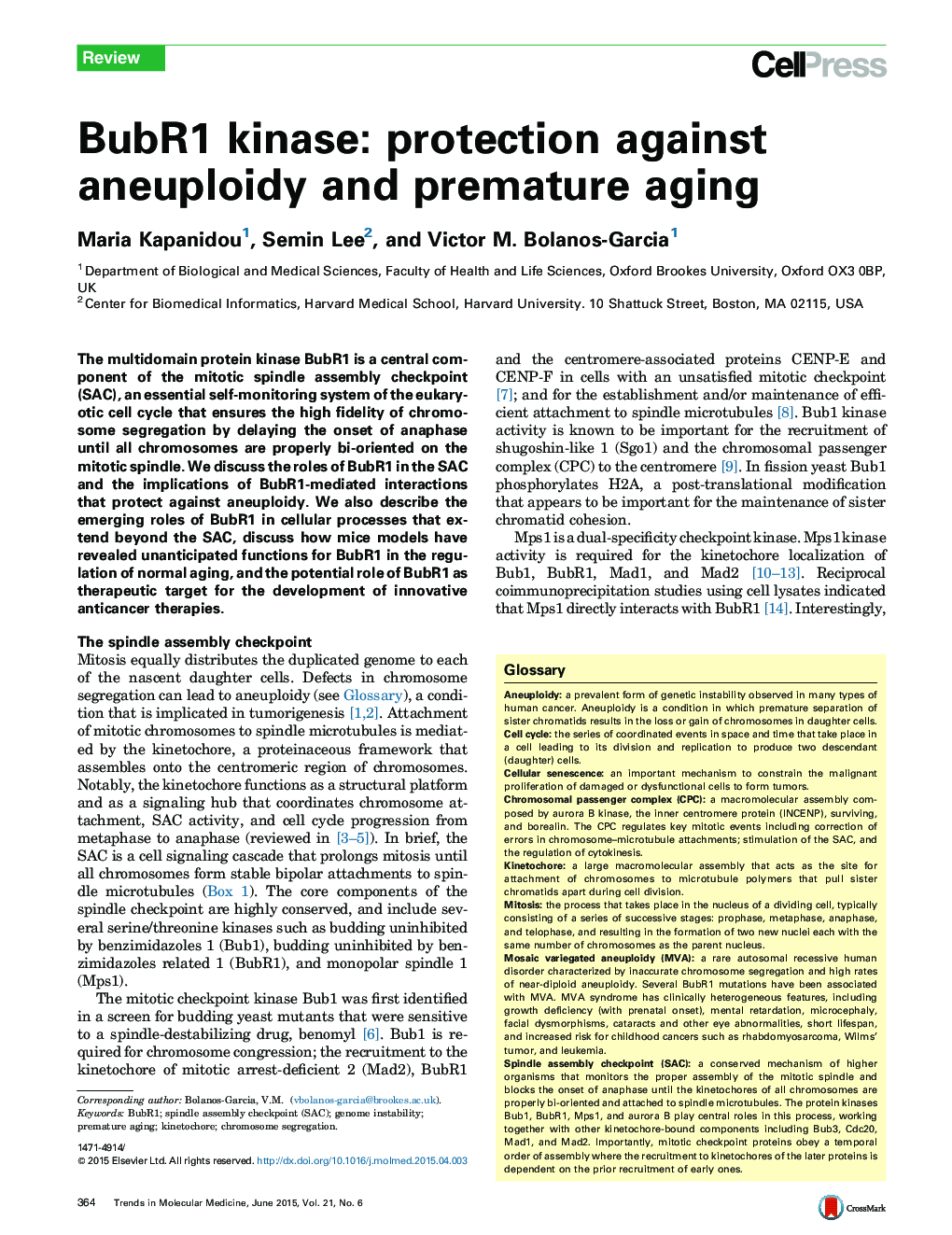 BubR1 kinase: protection against aneuploidy and premature aging