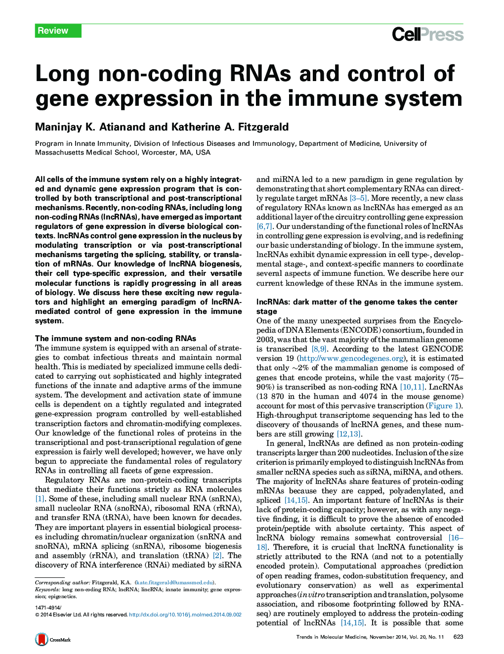 Long non-coding RNAs and control of gene expression in the immune system