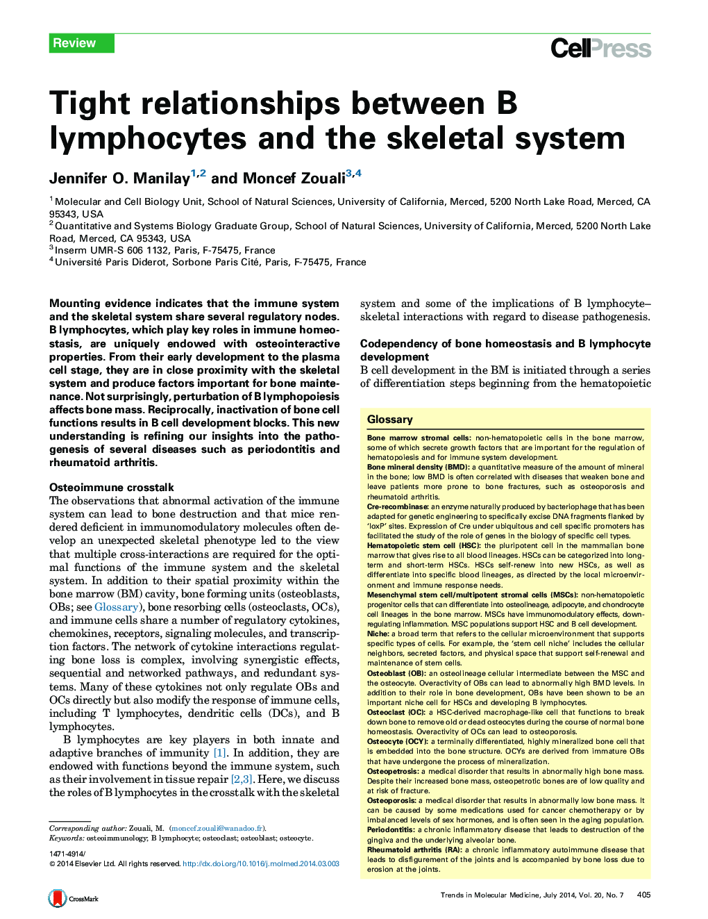 Tight relationships between B lymphocytes and the skeletal system