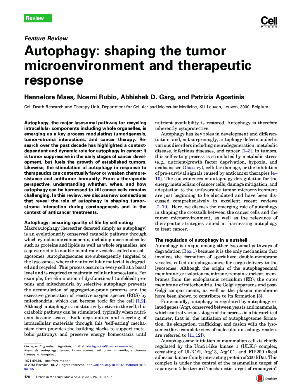 Autophagy: shaping the tumor microenvironment and therapeutic response