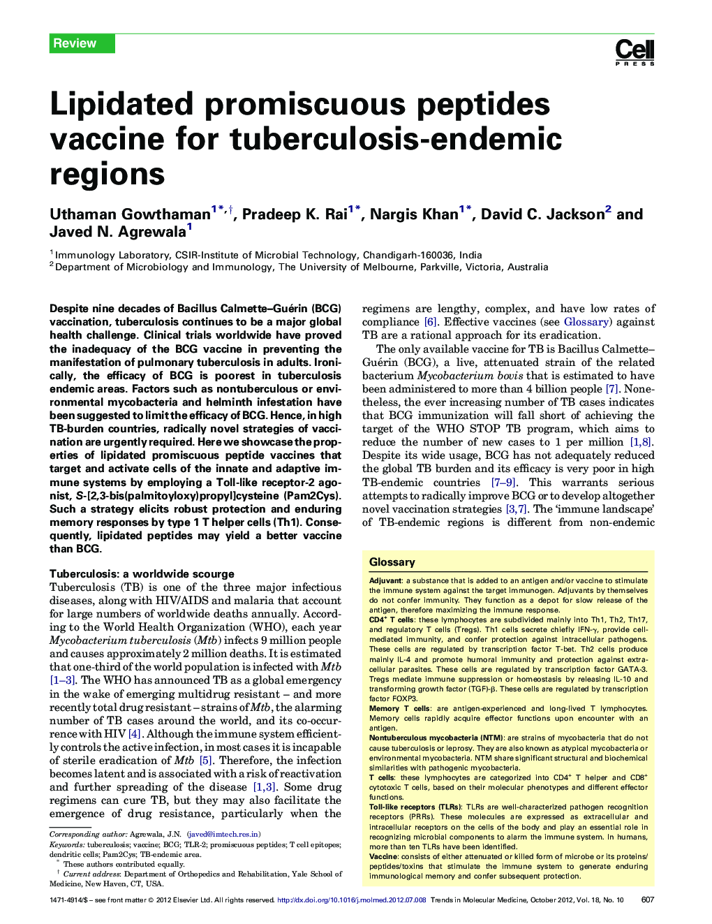 Lipidated promiscuous peptides vaccine for tuberculosis-endemic regions