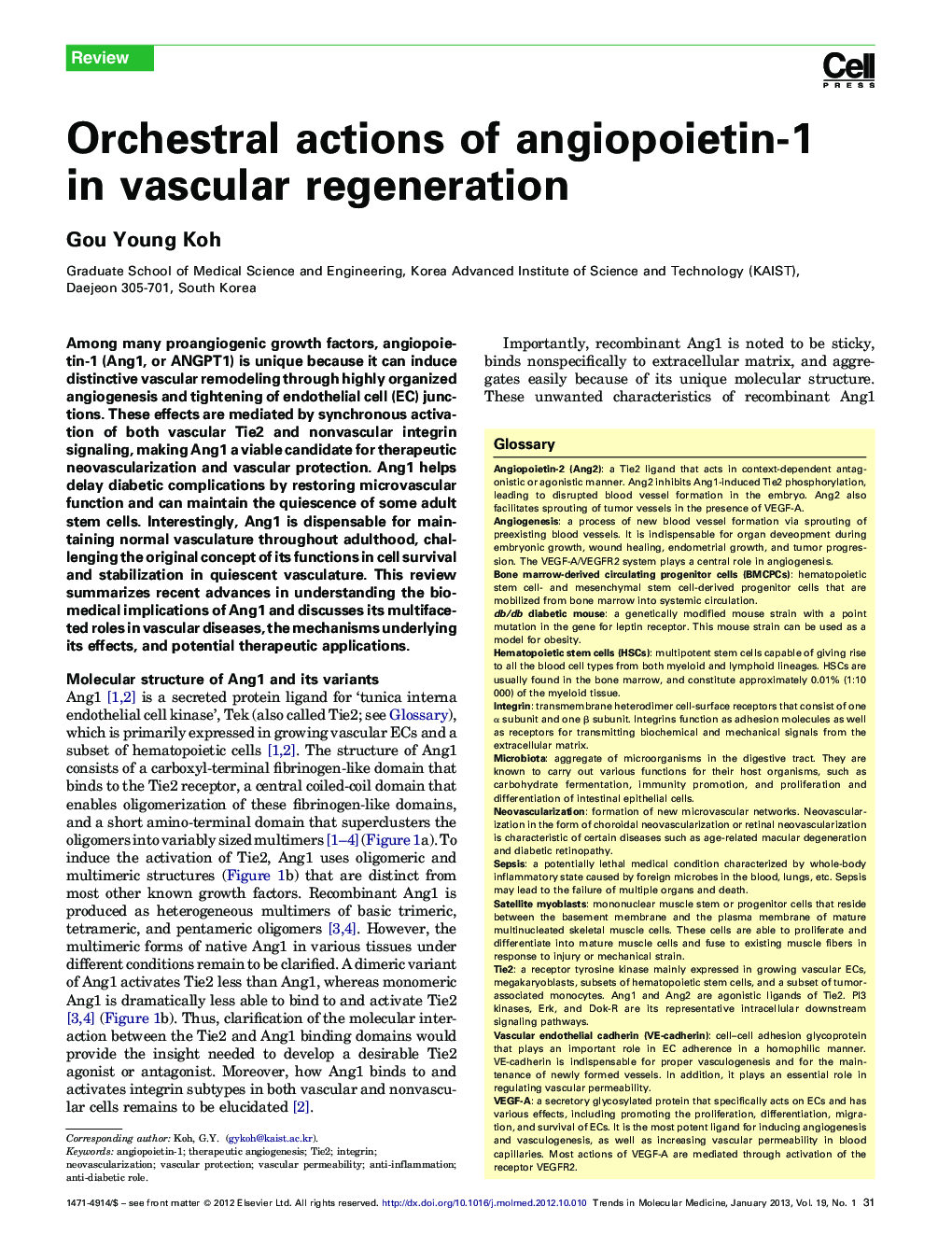 Orchestral actions of angiopoietin-1 in vascular regeneration