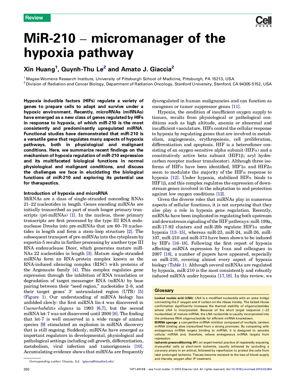 MiR-210 – micromanager of the hypoxia pathway