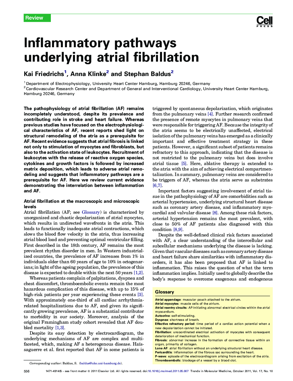 Inflammatory pathways underlying atrial fibrillation