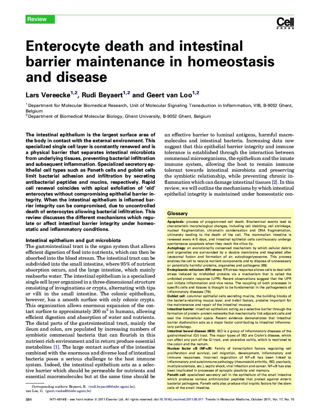 Enterocyte death and intestinal barrier maintenance in homeostasis and disease