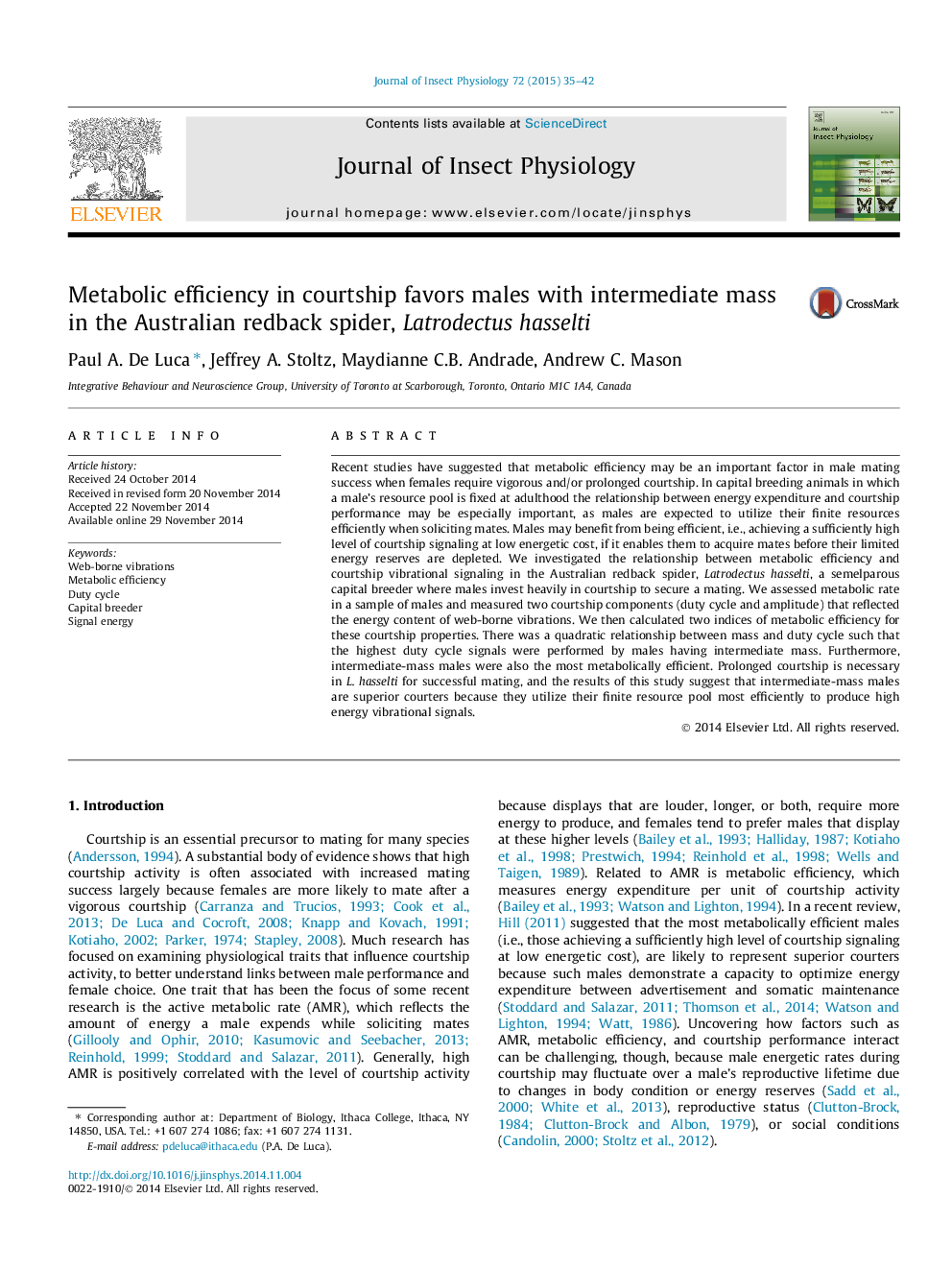 Metabolic efficiency in courtship favors males with intermediate mass in the Australian redback spider, Latrodectus hasselti