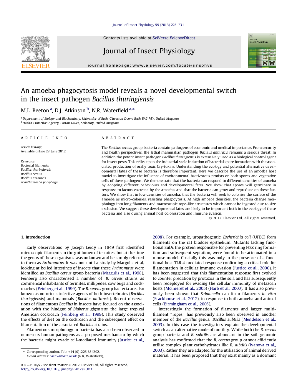 An amoeba phagocytosis model reveals a novel developmental switch in the insect pathogen Bacillus thuringiensis